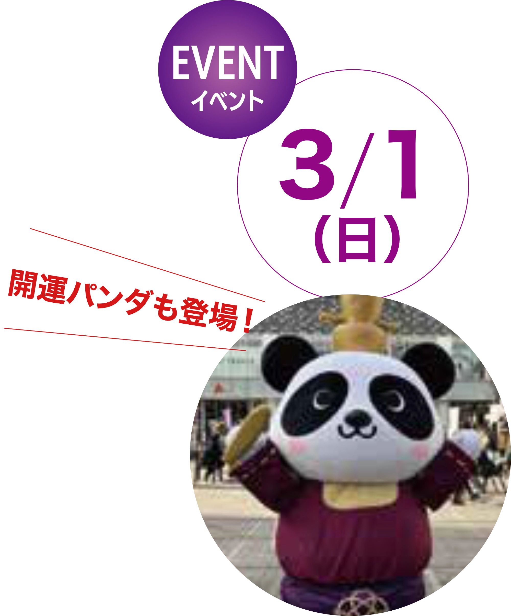 お礼参りイベントに開運パンダ登場!